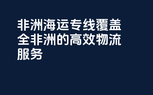 非洲海运专线：覆盖全非洲的高效物流服务