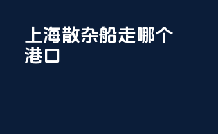 上海散杂船走哪个港口