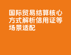 国际贸易结算核心方式解析：信用证、TT、D/P 等场景适配
