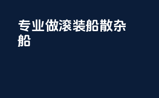 专业做滚装船散杂船