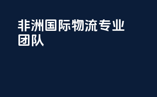 非洲国际物流专业团队