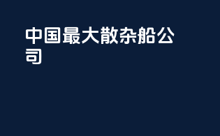 中国最大散杂船公司