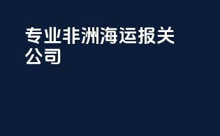专业非洲海运报关公司