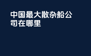 中国最大散杂船公司在哪里