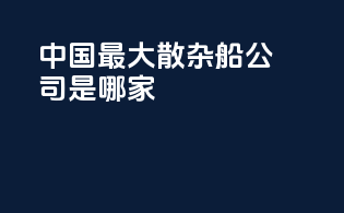 中国最大散杂船公司是哪家