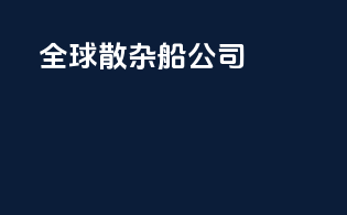 全球散杂船公司