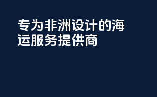 专为非洲设计的海运服务提供商