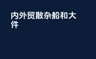 内外贸散杂船和大件