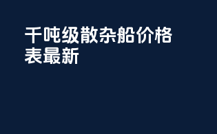 千吨级散杂船价格表最新