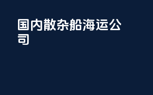 国内散杂船海运公司