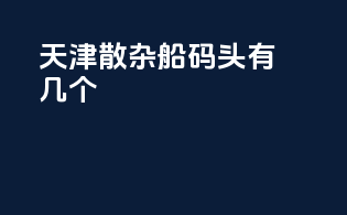 天津散杂船码头有几个