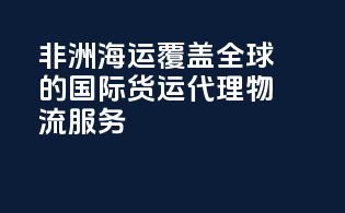 非洲海运：覆盖全球的国际货运代理物流服务
