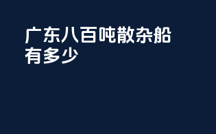 广东八百吨散杂船有多少