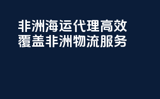 非洲海运代理高效覆盖非洲物流服务