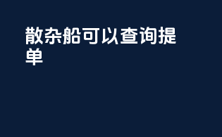 散杂船可以查询提单