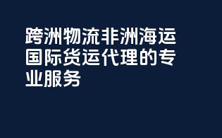 跨洲物流：非洲海运国际货运代理的专业服务