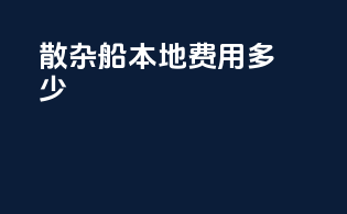 散杂船本地费用多少