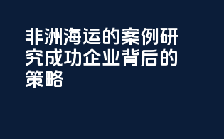 非洲海运的案例研究：成功企业背后的策略