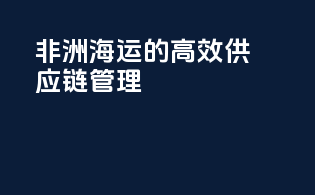 非洲海运的高效供应链管理