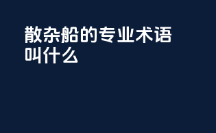 散杂船的专业术语叫什么