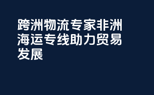 跨洲物流专家：非洲海运专线助力贸易发展