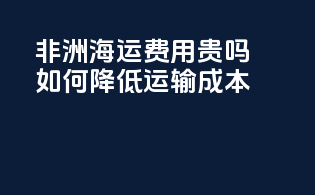 非洲海运费用贵吗？如何降低运输成本？