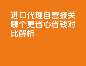 进口代理 vs 自营报关？哪个更省心省钱？对比解析