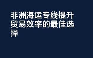 非洲海运专线：提升贸易效率的最佳选择