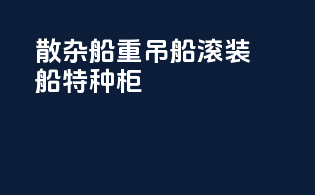散杂船重吊船滚装船特种柜