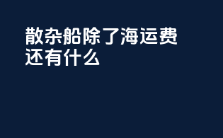 散杂船除了海运费还有什么
