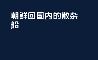 朝鲜回国内的散杂船