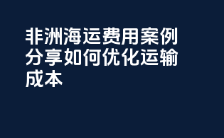 非洲海运费用案例分享：如何优化运输成本？