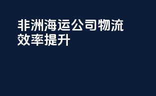 非洲海运公司：物流效率提升