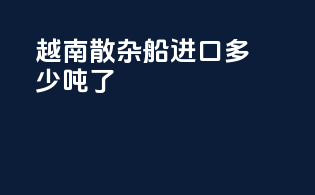 越南散杂船进口多少吨了