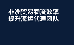 非洲贸易物流效率提升，海运代理expert团队
