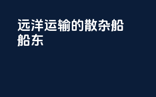 远洋运输的散杂船船东