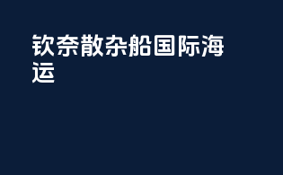 钦奈散杂船国际海运