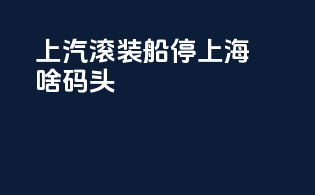 上汽滚装船停上海啥码头