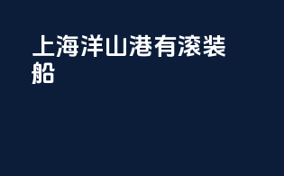 上海洋山港有滚装船