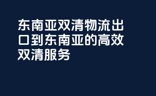 东南亚双清物流：出口到东南亚的高效双清服务