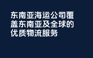 东南亚海运公司，覆盖东南亚及全球的优质物流服务