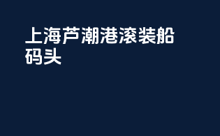 上海芦潮港滚装船码头