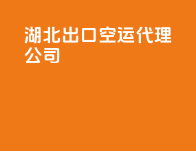 湖北出口空运代理公司