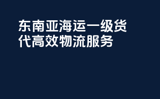 东南亚海运一级货代，高效物流服务