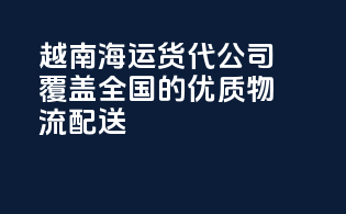 越南海运货代公司：覆盖全国的优质物流配送