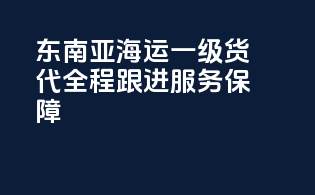 东南亚海运一级货代，全程跟进服务保障