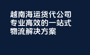 越南海运货代公司：专业高效的一站式物流解决方案