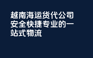 越南海运货代公司：安全快捷专业的一站式物流