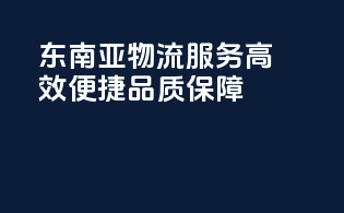 东南亚物流服务，高效便捷，品质保障