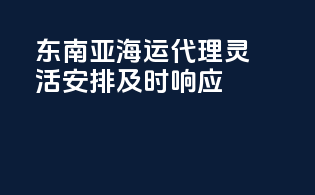 东南亚海运代理：灵活安排，及时响应